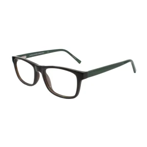 Alternative view of Benetton 2011